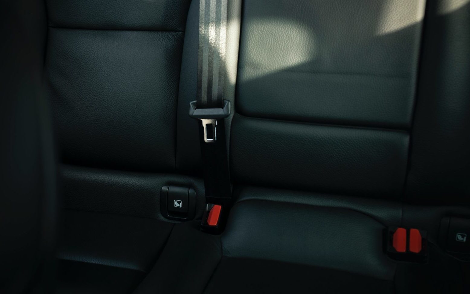 Car interior - seat belt